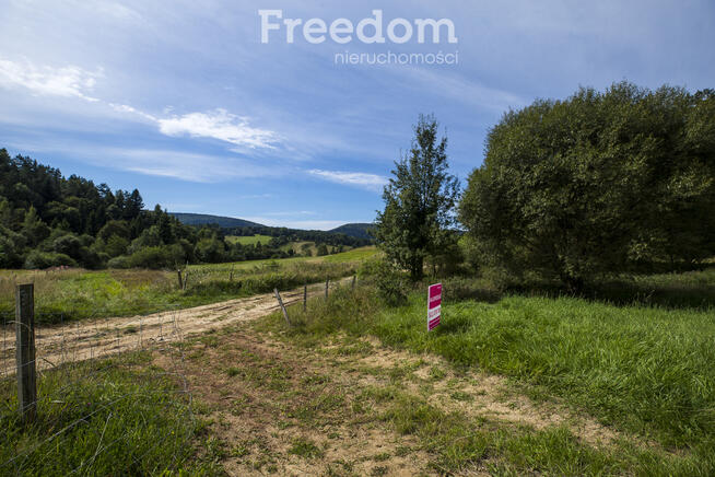 Działka Bieszczady - Bandrów