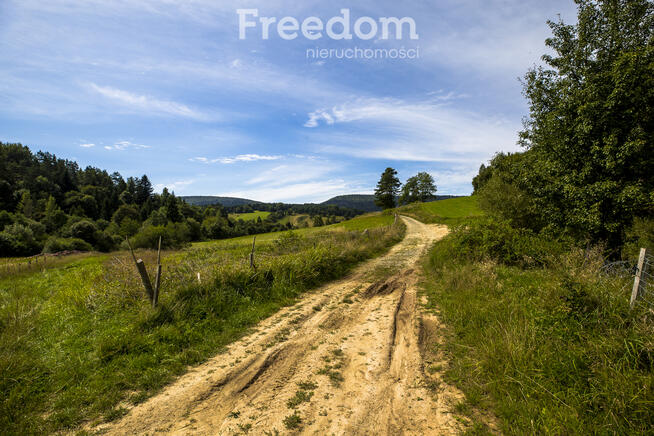 Działka Bieszczady - Bandrów