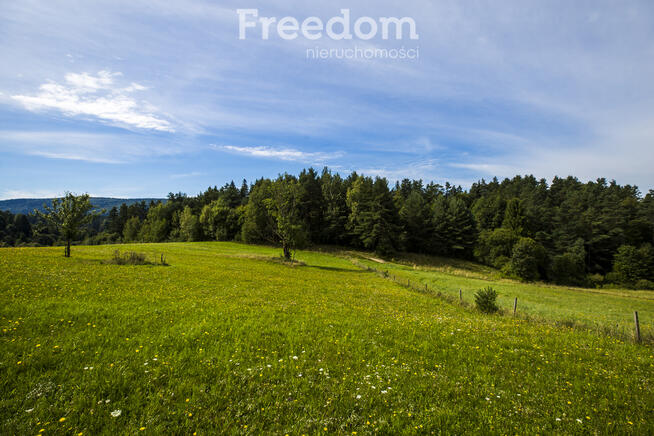 Działka Bieszczady - Bandrów