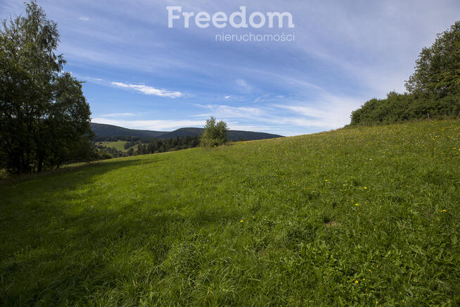 Działka Bieszczady - Bandrów