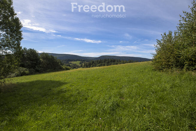 Działka Bieszczady - Bandrów