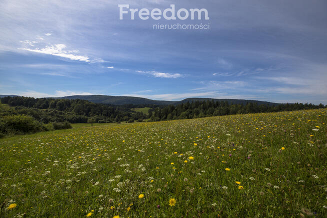 Działka Bieszczady - Bandrów