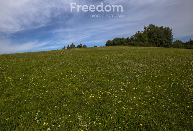 Działka Bieszczady - Bandrów