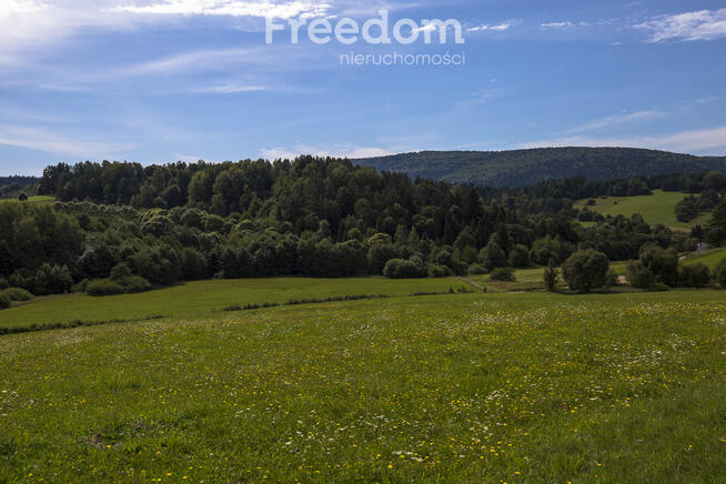 Działka Bieszczady - Bandrów