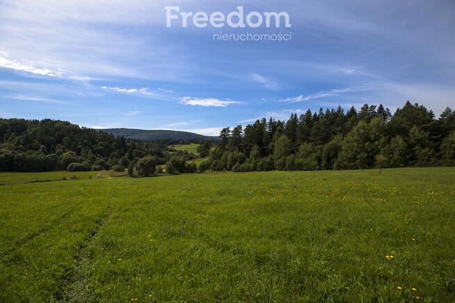 Działka Bieszczady - Bandrów