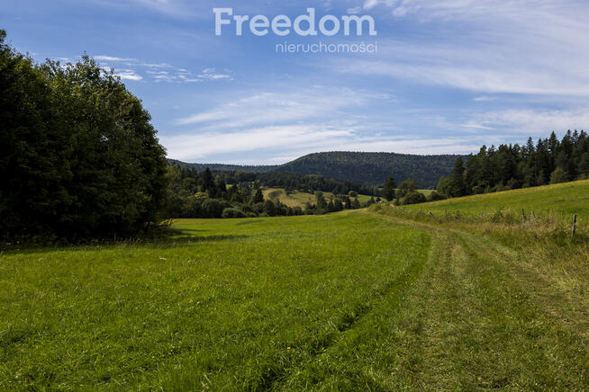 Działka Bieszczady - Bandrów