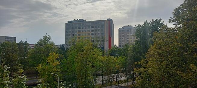 Kawalerka z balkonem- Zwierzyniecka 21