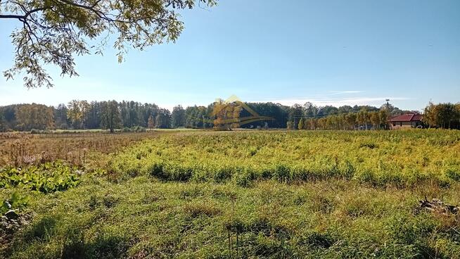 Działka budowlana Żabia Wola