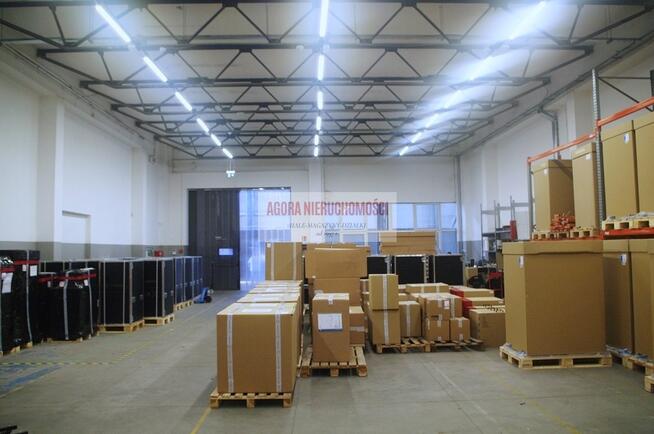 HALA MAGAZYN PRODUKCJA 335 m2 Rybitwy