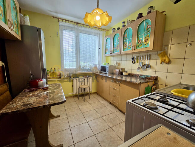 Mieszkanie Zielona Góra,