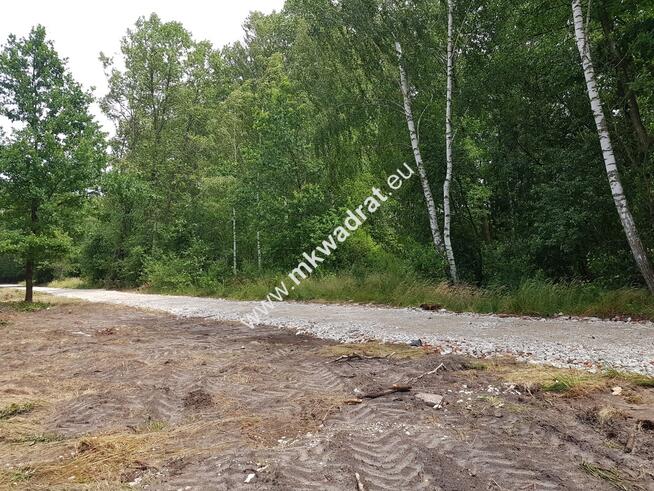 Budy Grzybek 3 działki + skrzynki elektryczne