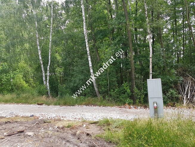 Budy Grzybek 3 działki + skrzynki elektryczne