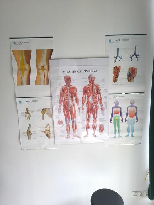 Sprzęt dla masażysty/tki.