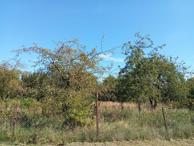 Działka budowlana, 1,5 km od Darłowa l Rusko l Nad morzem