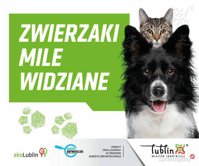 Papa termozgrzewalna 2,2 mm – 15 m² rolka | ATUT-BIS Lublin