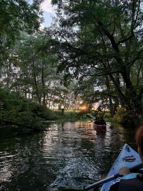 Kajaki Milicz, Spływy Kajakowe Milicz