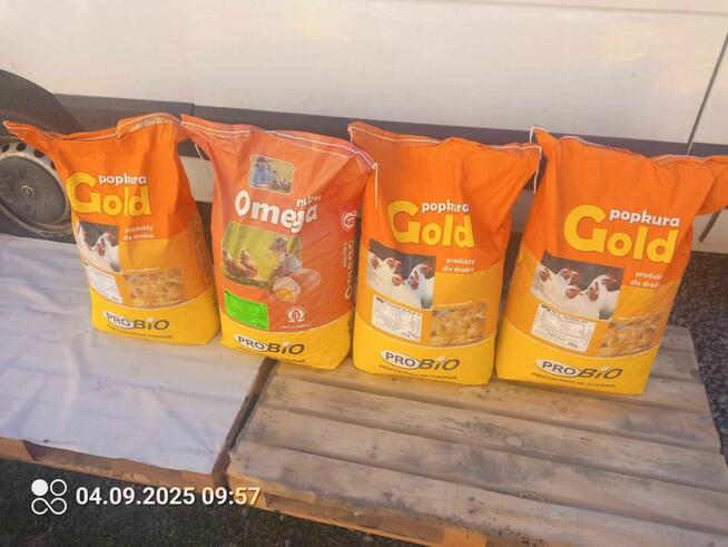 Sprzedaż paszy i karmy dla drobiu.