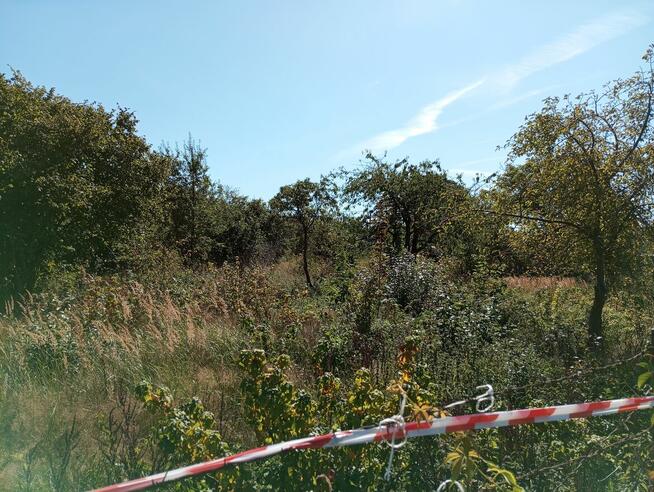 Działka budowlana, 1,5 km od Darłowa l Rusko l Nad morzem