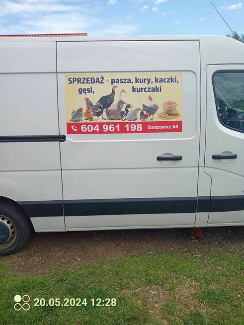 Sprzedaż paszy i karmy dla drobiu.