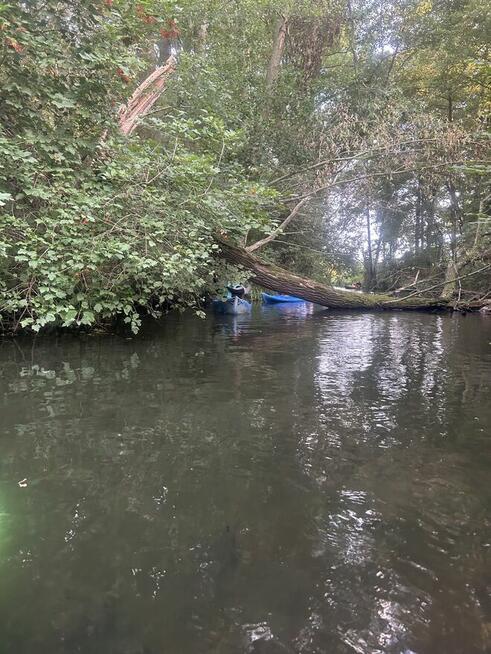 Kajaki Milicz, Spływy Kajakowe Milicz