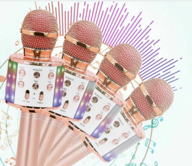 Mikrofon karaoke