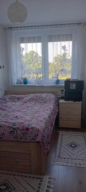 Mieszkanie po kapitalnym remoncie !!! - Krośnice