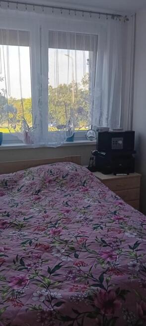 Mieszkanie po kapitalnym remoncie !!! - Krośnice