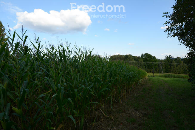 Działki budowlane z widokiem na góry