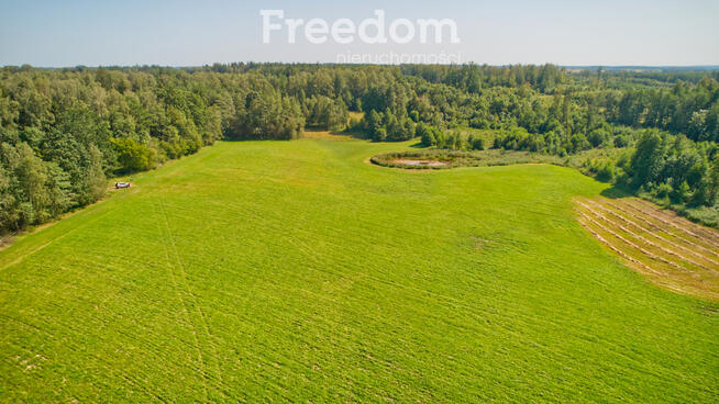 Działka przy lesie, Batkowo