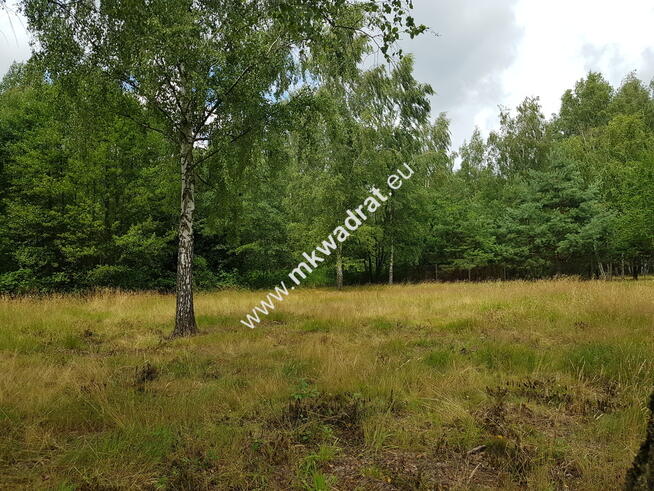 Budy Grzybek 3 działki + skrzynki elektryczne