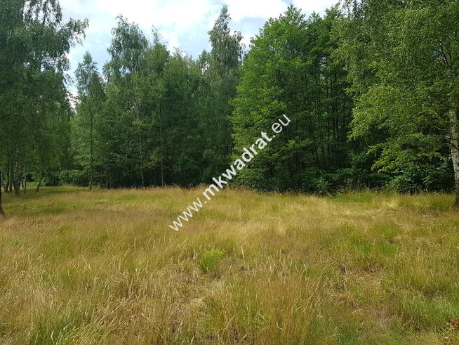 Budy Grzybek 3 działki + skrzynki elektryczne