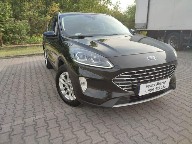 Ford Kuga Salon Polska fv23