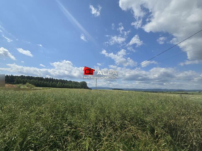 Działka budowlana Krzczonów gm. Świdnica, Cicha okolica