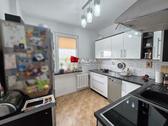 Mieszkanie Świdnica