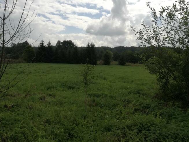 Działka budowlana Szczepanów gm. Marcinowice, Szczepanów