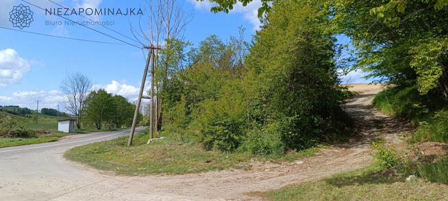 Działka leśna Prokowo gm. Kartuzy, Leśna