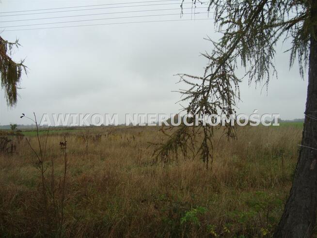 Działka rolna Wikcinek gm. Nowa Sucha