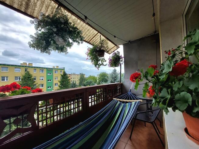 ✅Zobacz>>>Wyjątkowe 3 pokoje na Piaskach✅