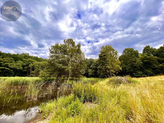 Działka rolna Wiry gm. Marcinowice