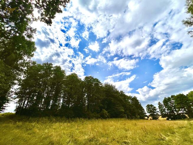 Działka rolna Wiry gm. Marcinowice