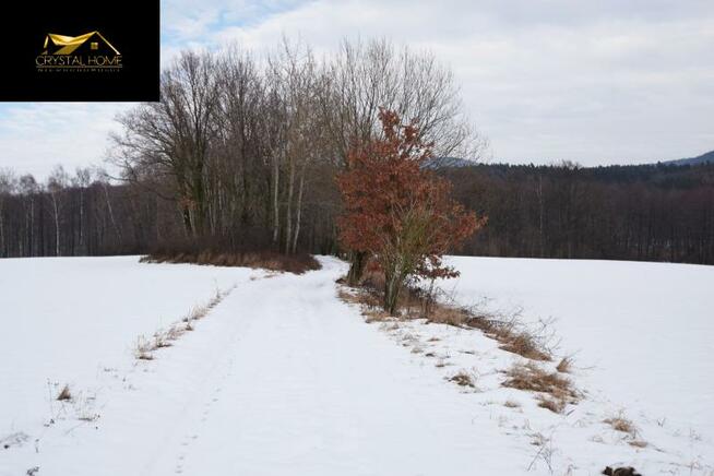 Działka rolna Wiry gm. Marcinowice