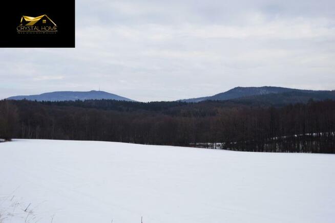 Działka rolna Wiry gm. Marcinowice