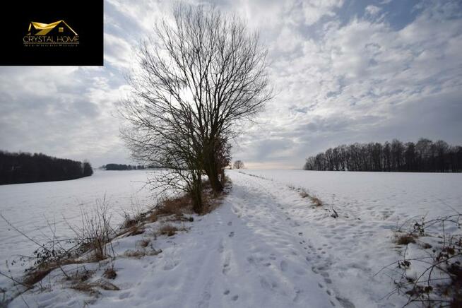 Działka rolna Wiry gm. Marcinowice