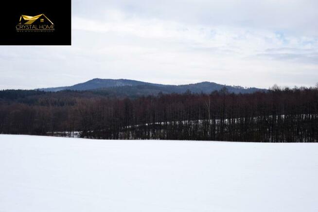 Działka rolna Wiry gm. Marcinowice