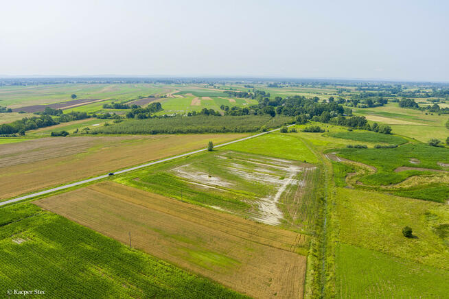 Sprzedam działkę rolną Kwików 36 ar.