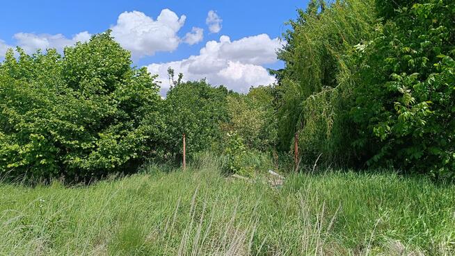 Działka budowlana Ścinawa gm. Oława