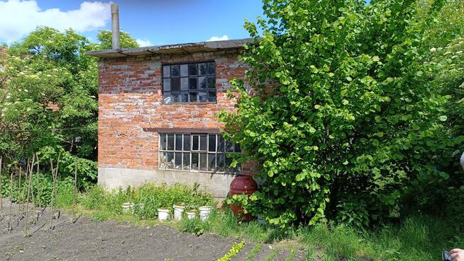 Działka budowlana Ścinawa gm. Oława