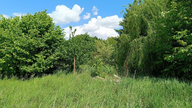 Działka budowlana Ścinawa gm. Oława