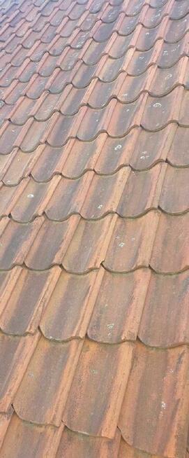 Dachówka esówka i właz dachowy gąsiory