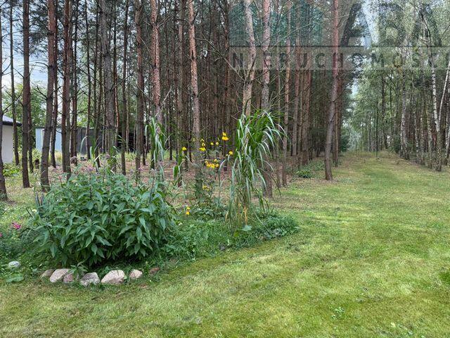 Na sprzedaż urokliwa nieruchomość w lesie